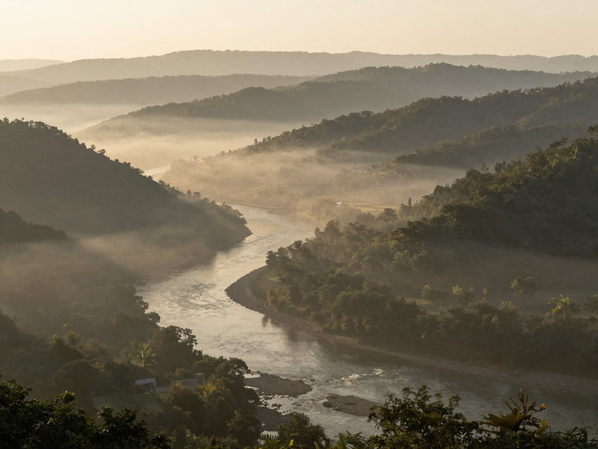 A misty river winding through forested hills at golden hour